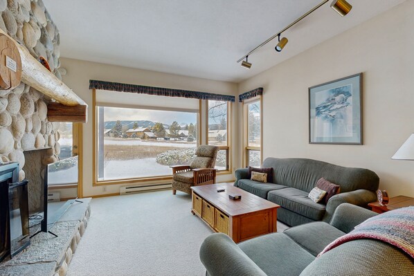 TV, fireplace, video games, DVD player