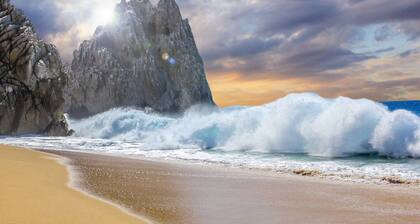 Newly Renovated Cabo Marina Waterfront unit, Rooftop Pool