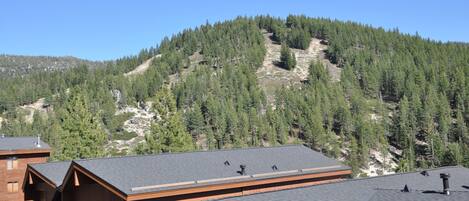 A mountain cabin with a sloped roof, wooden exterior, and a garage.