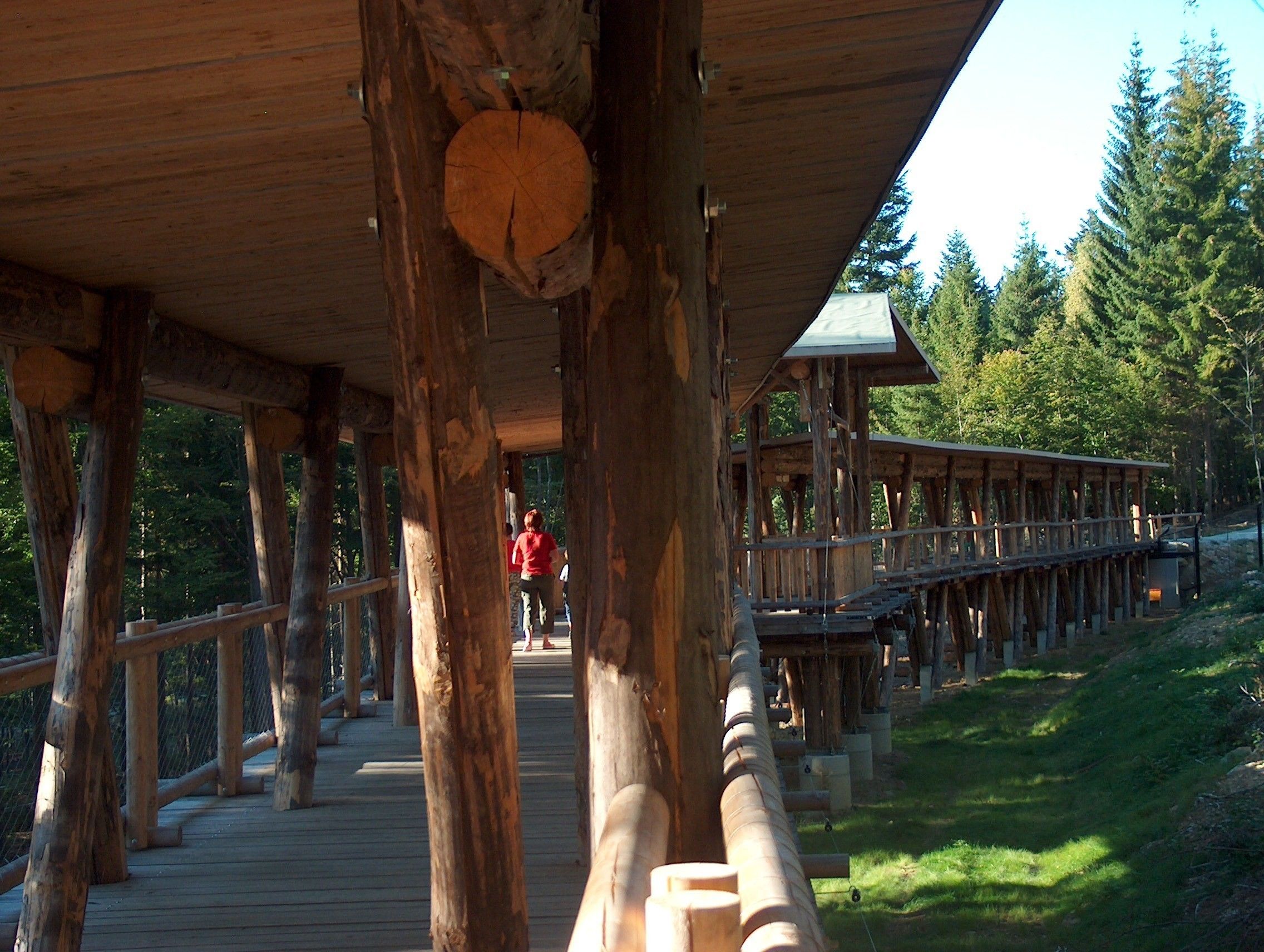 A wooden deck with a covered walkway, surrounded by trees.