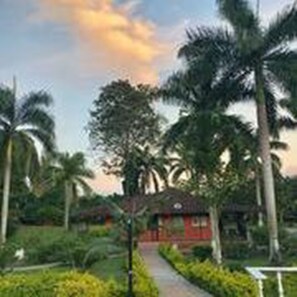 A pathway leading to a red building surrounded by palm trees and greenery.