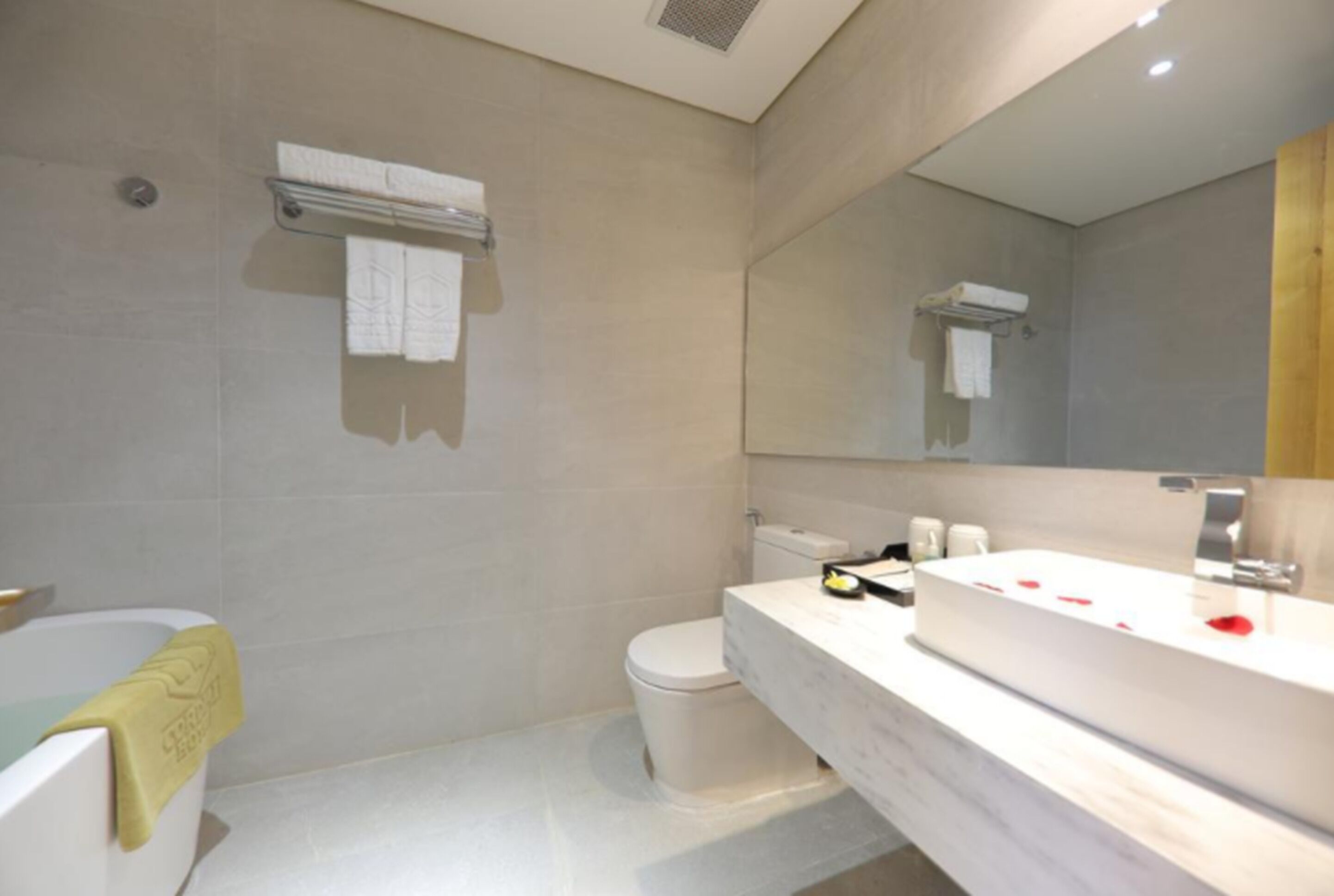 separate bathtub and shower, free toiletries, hair dryer, dressing gowns