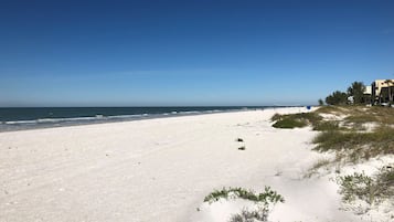 Plage, chaises longues, serviettes de plage
