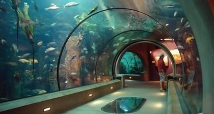 Umgeben Sie sich in Luxus, Oceanfront 1 Schlafzimmer 2 Bad Condo von $ 79 pro Nacht