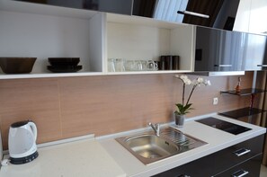 Apartment 21, Balcony, City View | Private kitchenette | Fridge, stovetop, electric kettle, cookware/dishes/utensils