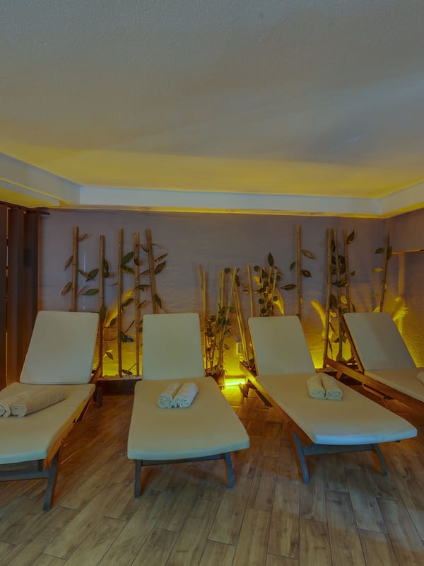 Sauna, vasca idromassaggio, bagno turco/hammam, trattamenti per il corpo