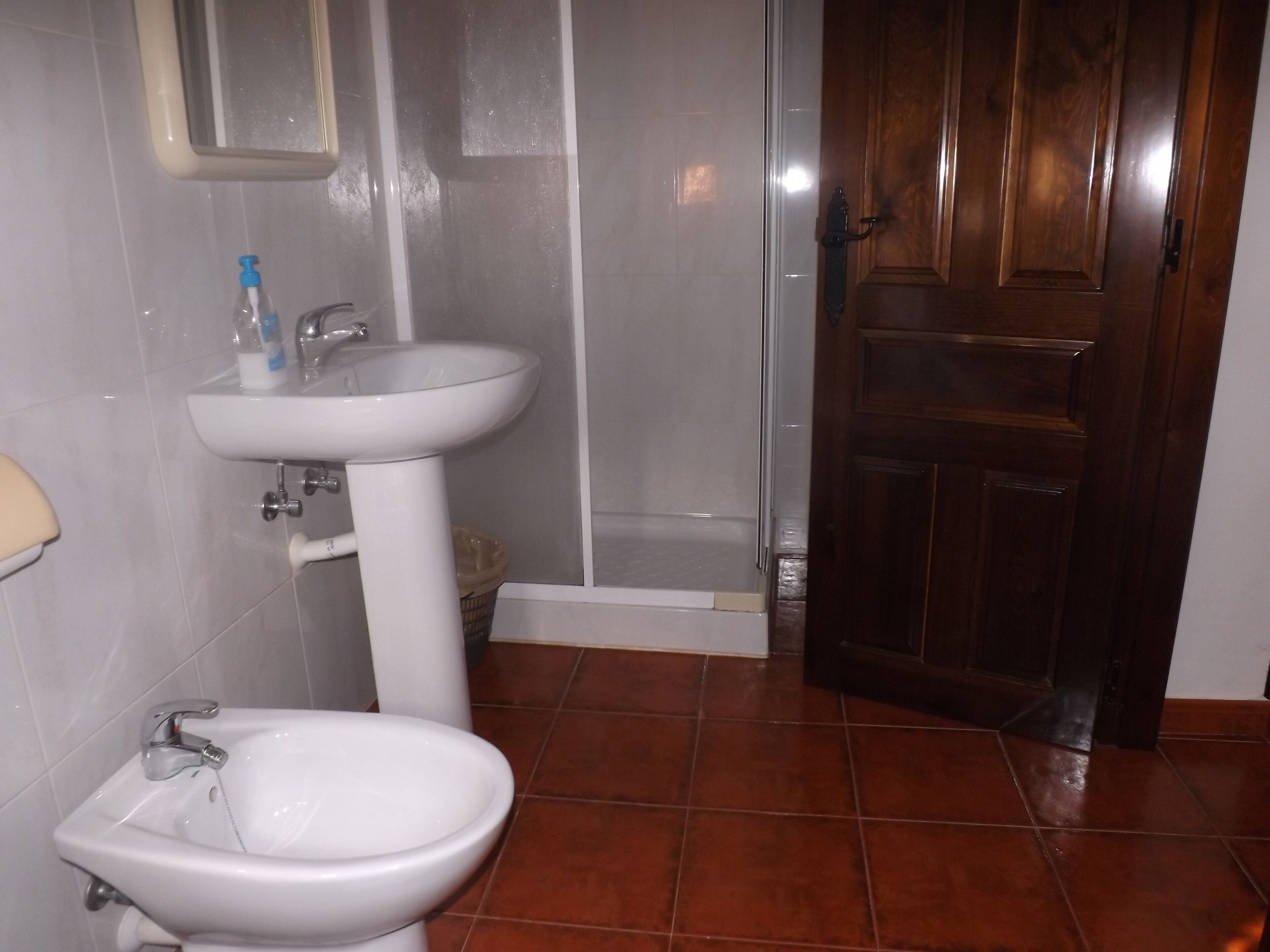 Un baño con lavamanos, bidé y zona de ducha.