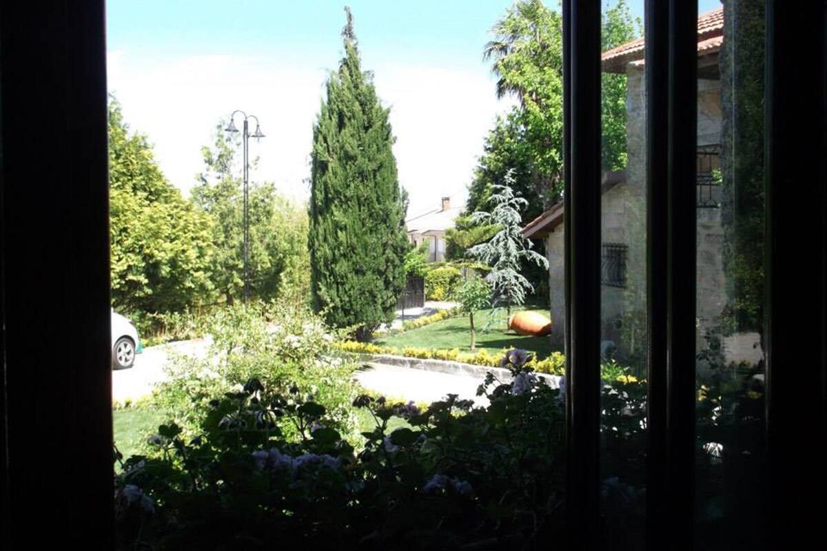 A view through a window of a garden with a tall tree, a smaller tree, and a building with a tiled roof.