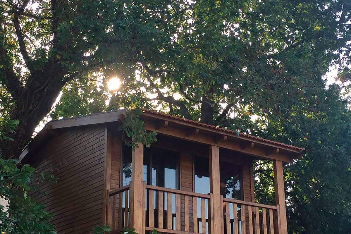 A wooden cabin with a balcony, surrounded by trees and foliage.