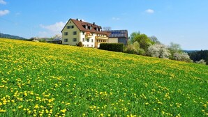 A house with a solar panel on the roof, surrounded by a field of yellow flowers. - Ferienwohnung Familie Kappauf & Petrik (Friedenfels)
