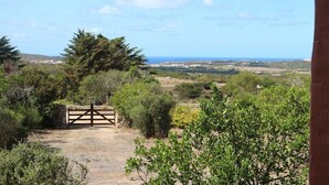 Un paysage rural avec un mur de pierres et une porte en bois menant à un sentier, le tout entouré de verdure et offrant une vue lointaine sur la mer.