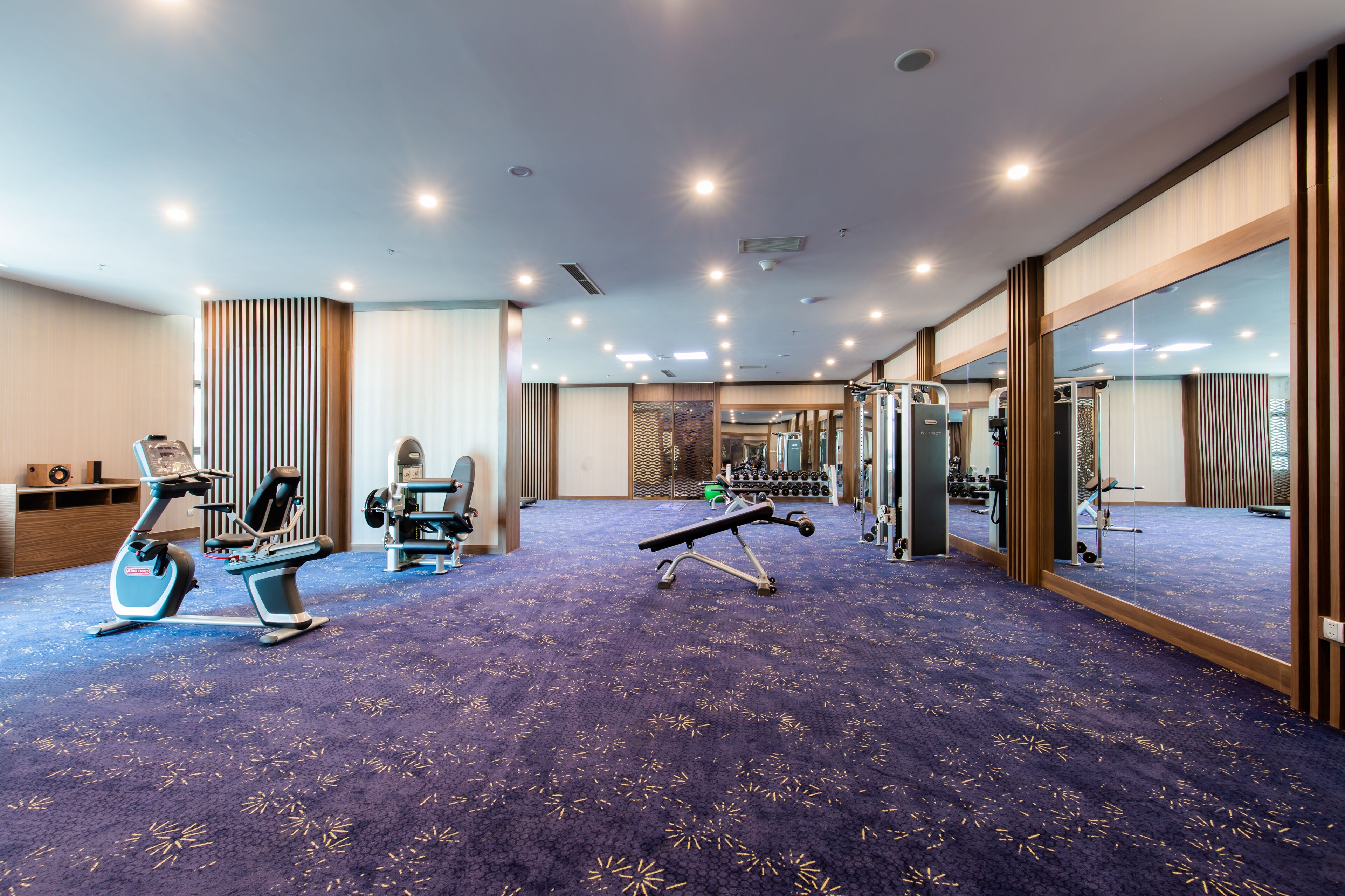 A gym with exercise equipment, a blue carpet, and a large mirror.