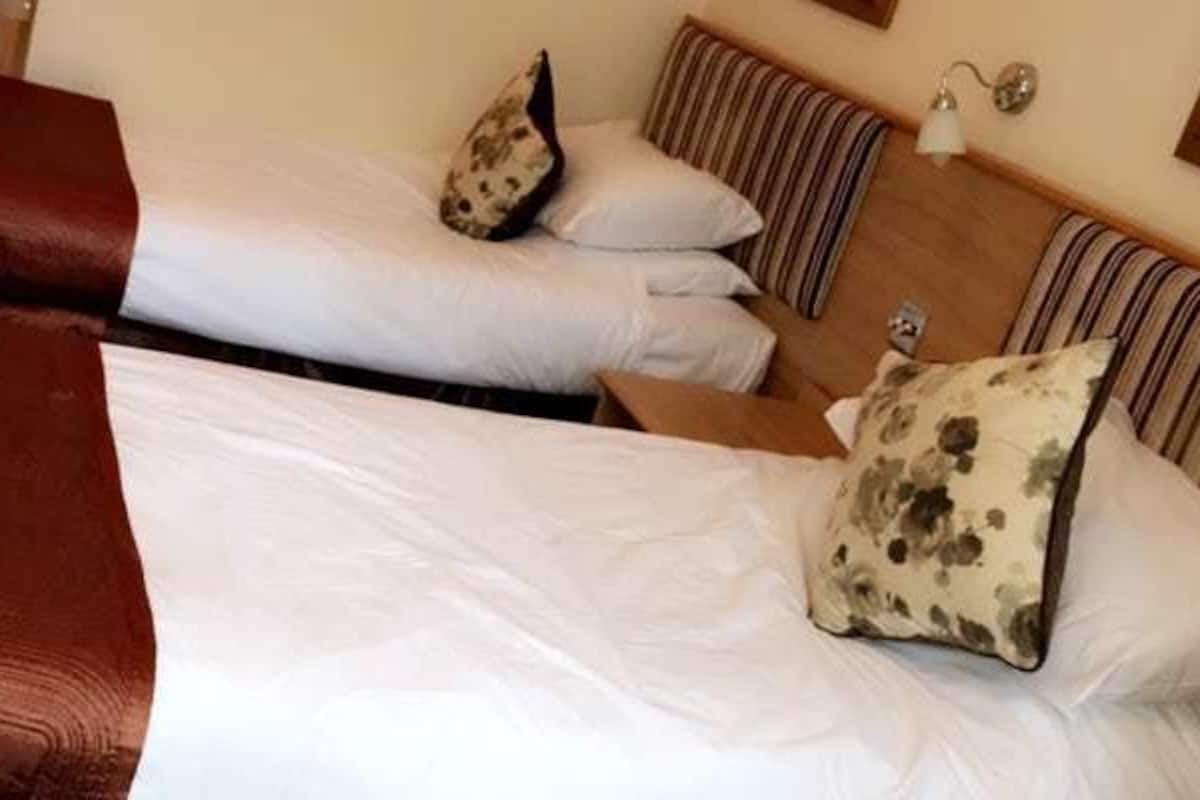 Chambre avec lits jumeaux | Accès au Wi-Fi (inclus), literie fournie