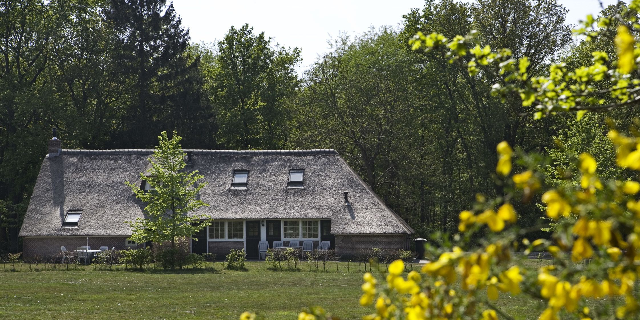 Une maison traditionnelle en briques, dotée d’un toit à forte pente, entourée d’un champ verdoyant et d’une forêt dense.