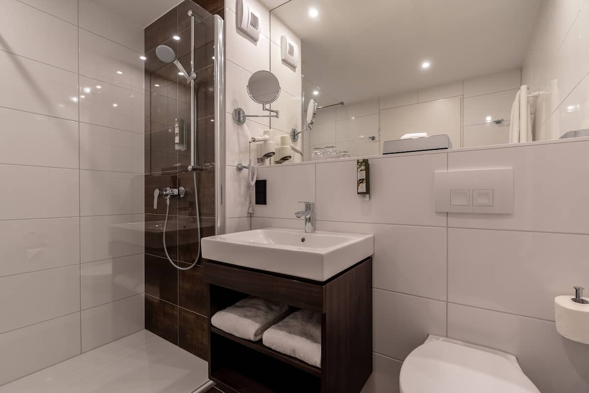 shower, free toiletries, hair dryer, towels