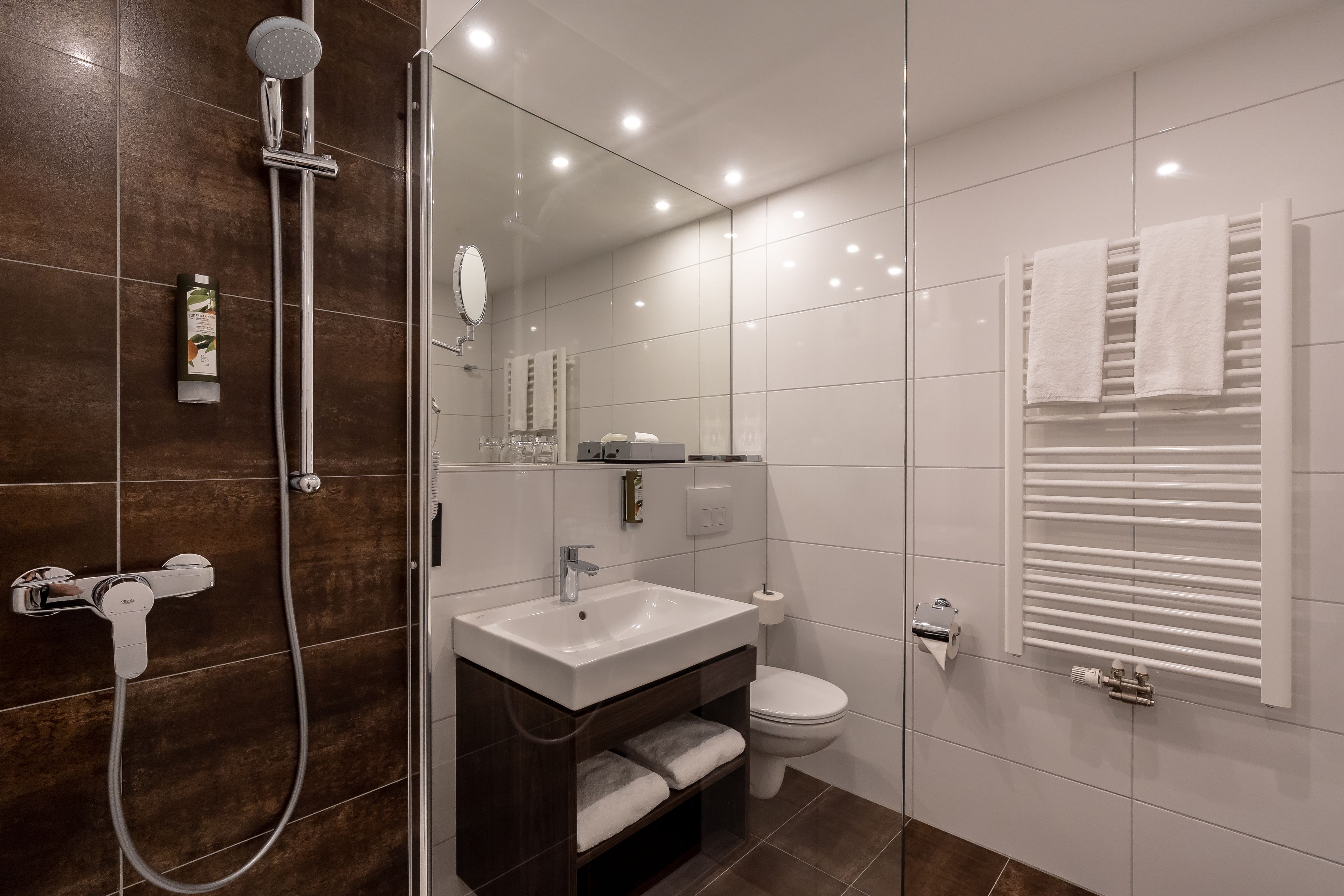 shower, free toiletries, hair dryer, towels