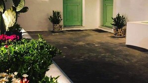 L’entrée d’un hôtel, avec des portes vertes, des plantes en pot et un sol en béton.