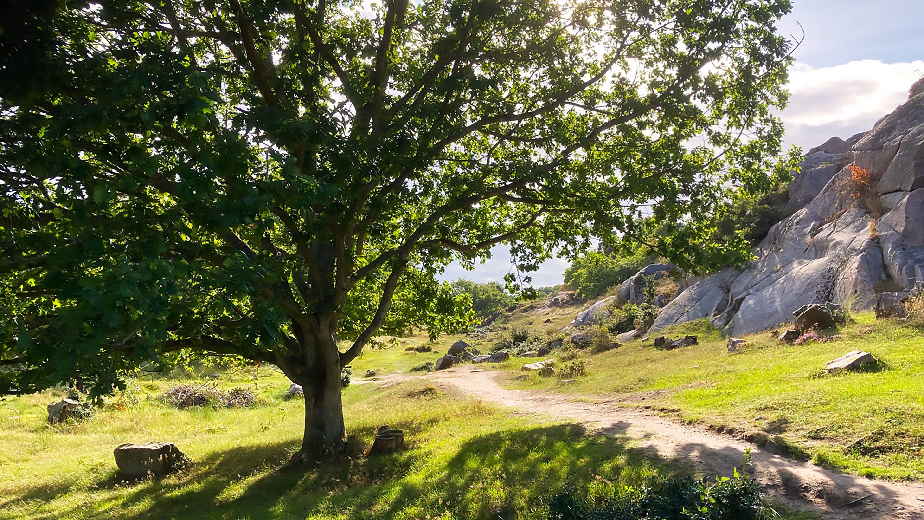Een pad omzoomd met bomen, met een rotsachtige heuvel op de achtergrond.