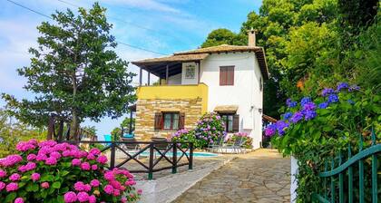 Villa traditionnelle avec piscine privée à Pelion