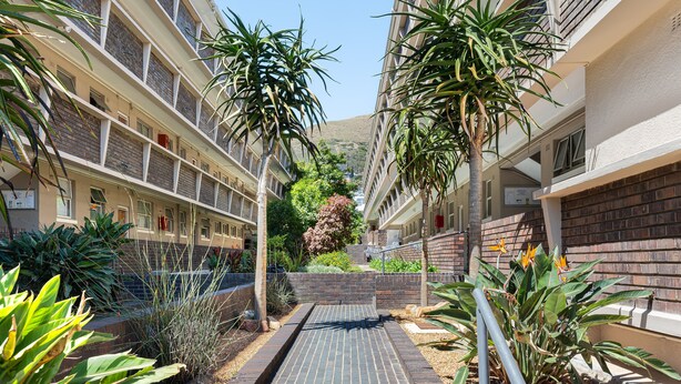 Property grounds - Taronga Mansions 21 (Cape Town)