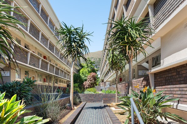 Property grounds - Taronga Mansions 21 (Cape Town)