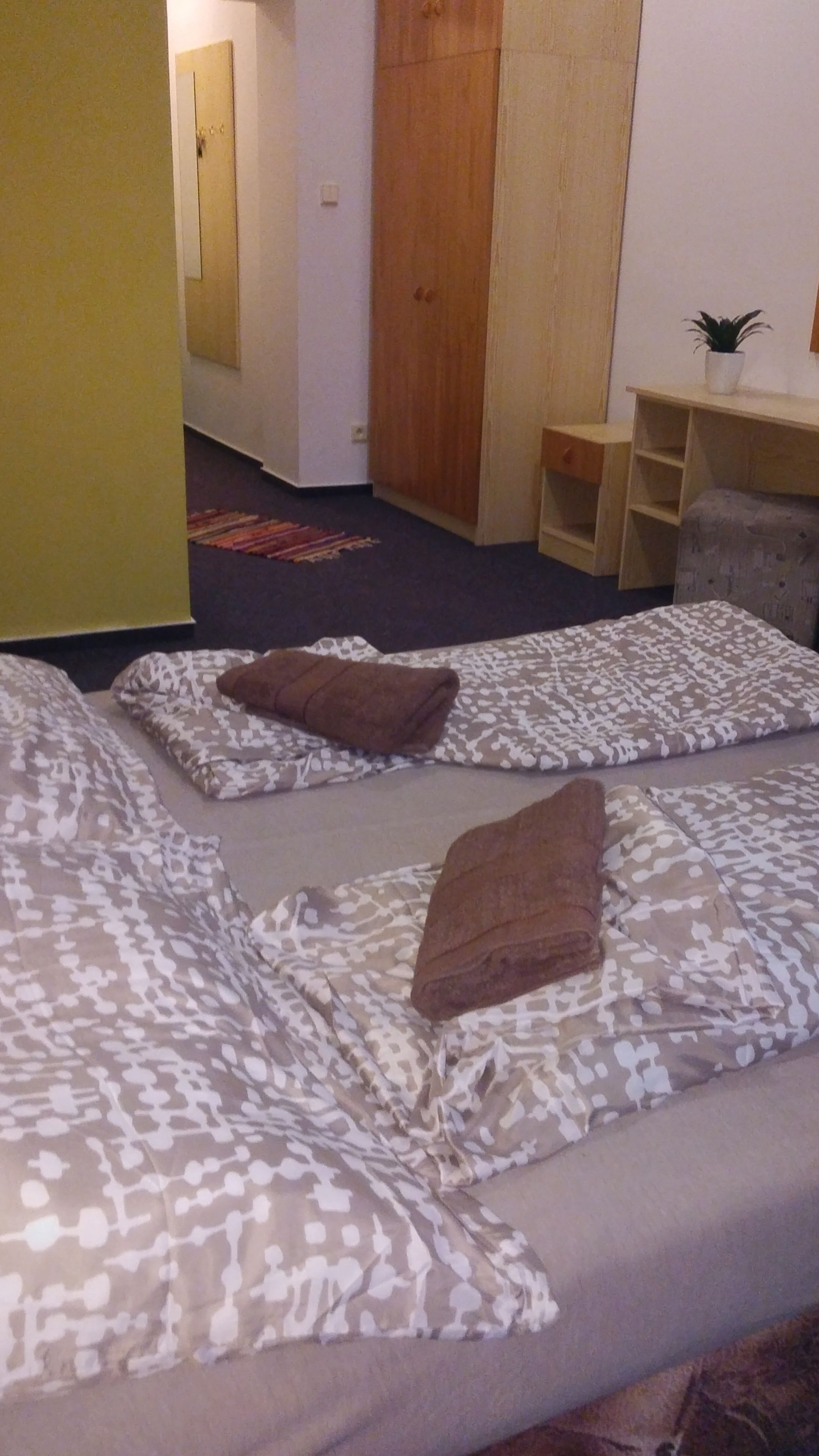 A room with two beds, each with patterned bedding and pillows, a wooden wardrobe, a small desk with a plant, and a carpeted floor.