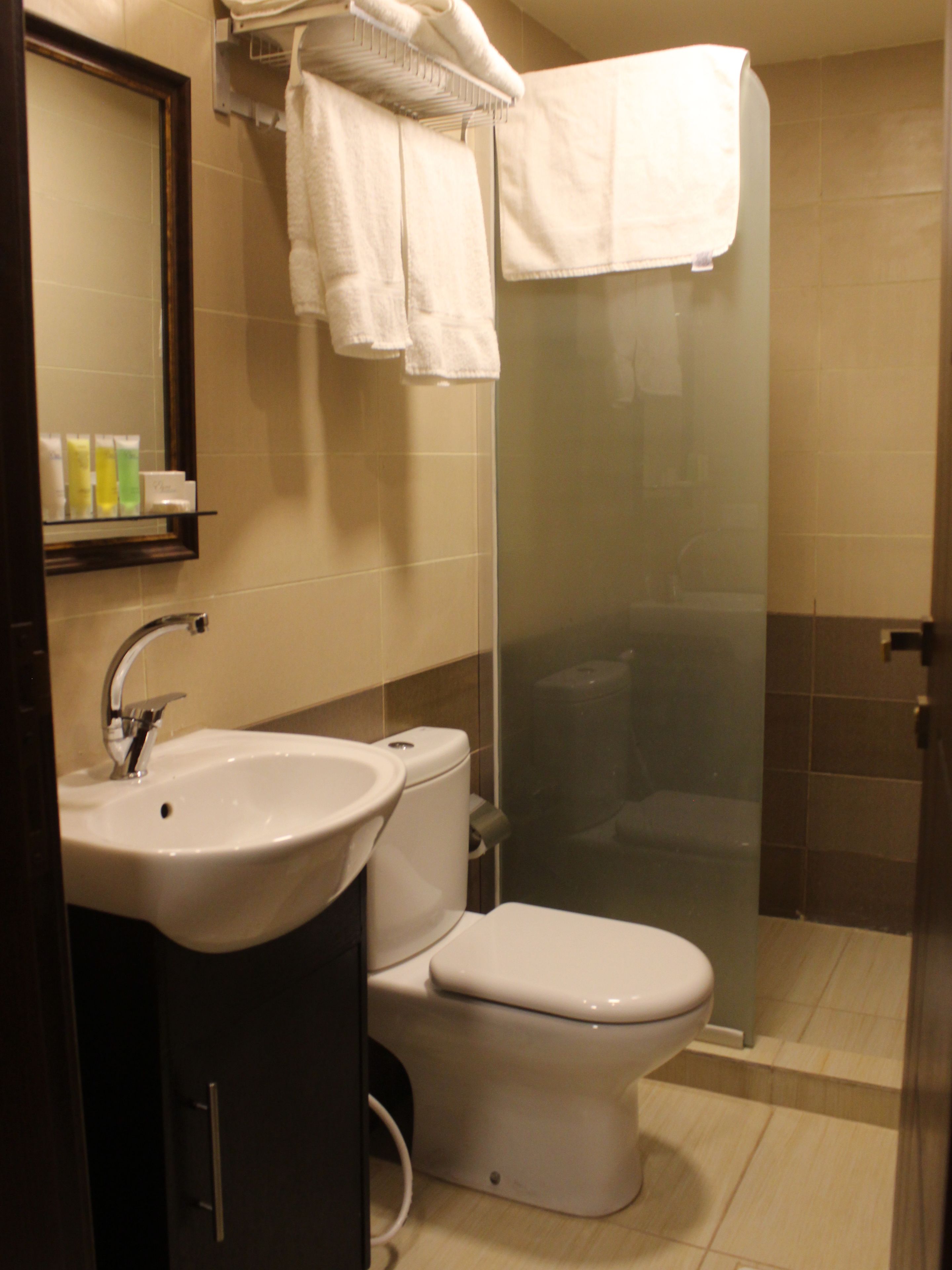 separate bathtub and shower, spring water bathtub, rainfall showerhead