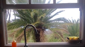 A kitchen sink with a window view of a palm tree and a bowl of lemons. - CASA ALMA a dream look that makes you happy (Hermigua) (Hermigua)