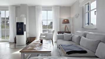 Televisio, takka, DVD-soitin, kirjoja