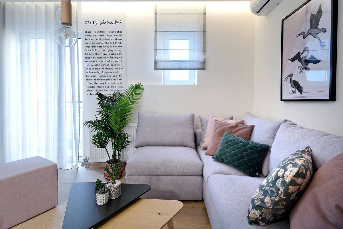 Una sala moderna con un sofá gris, una mesa de centro negra y una planta en maceta. Hay un cuadro con pájaros en la pared y una ventana con cortinas translúcidas.