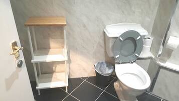 Combined shower/tub, hair dryer, towels