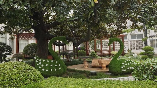 A garden with a large tree and a decorative swan statue. - Jinxiu Hotel (Shanghai)