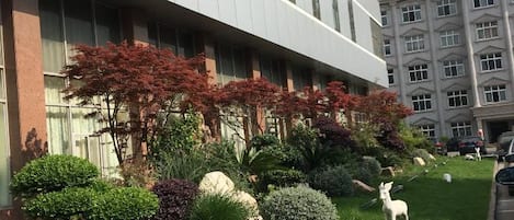 A building with a modern facade, a well-maintained garden with various shrubs and a white statue, and a classic building in the background.