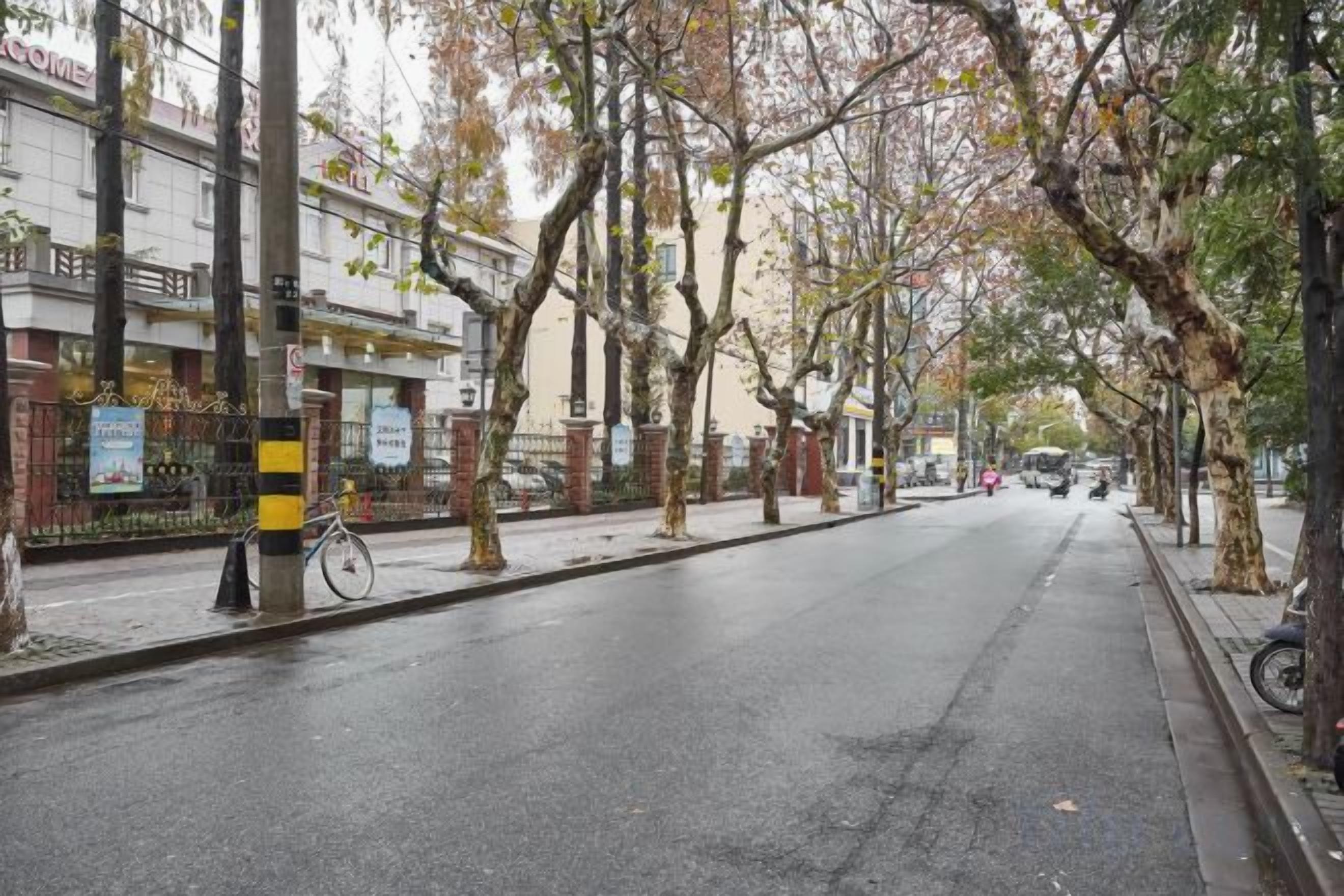 Une rue bordée d’arbres et d’immeubles, un vélo garé sur le trottoir et une chaussée mouillée.
