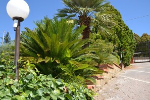 A street with a street lamp, palm trees, and a brick wall. - Bed and breakfast Due Fontane (Caltanissetta)