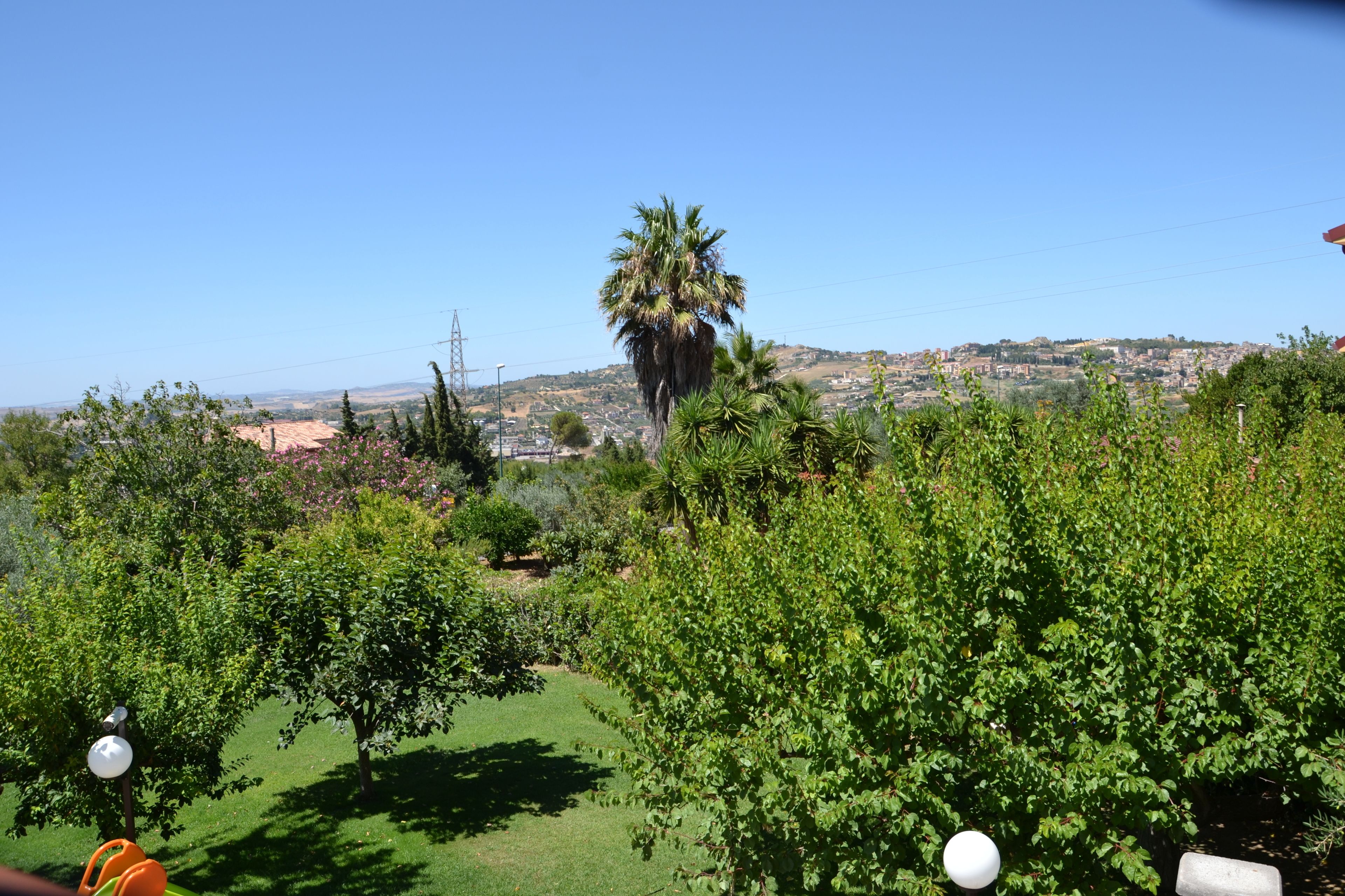 A lush garden with a variety of trees and shrubs, a clear blue sky, and a distant view of a hilly town.