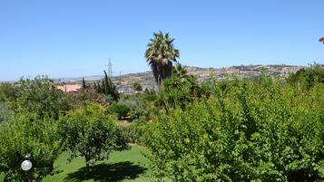 A lush garden with a variety of trees and shrubs, a clear blue sky, and a distant view of a hilly town.