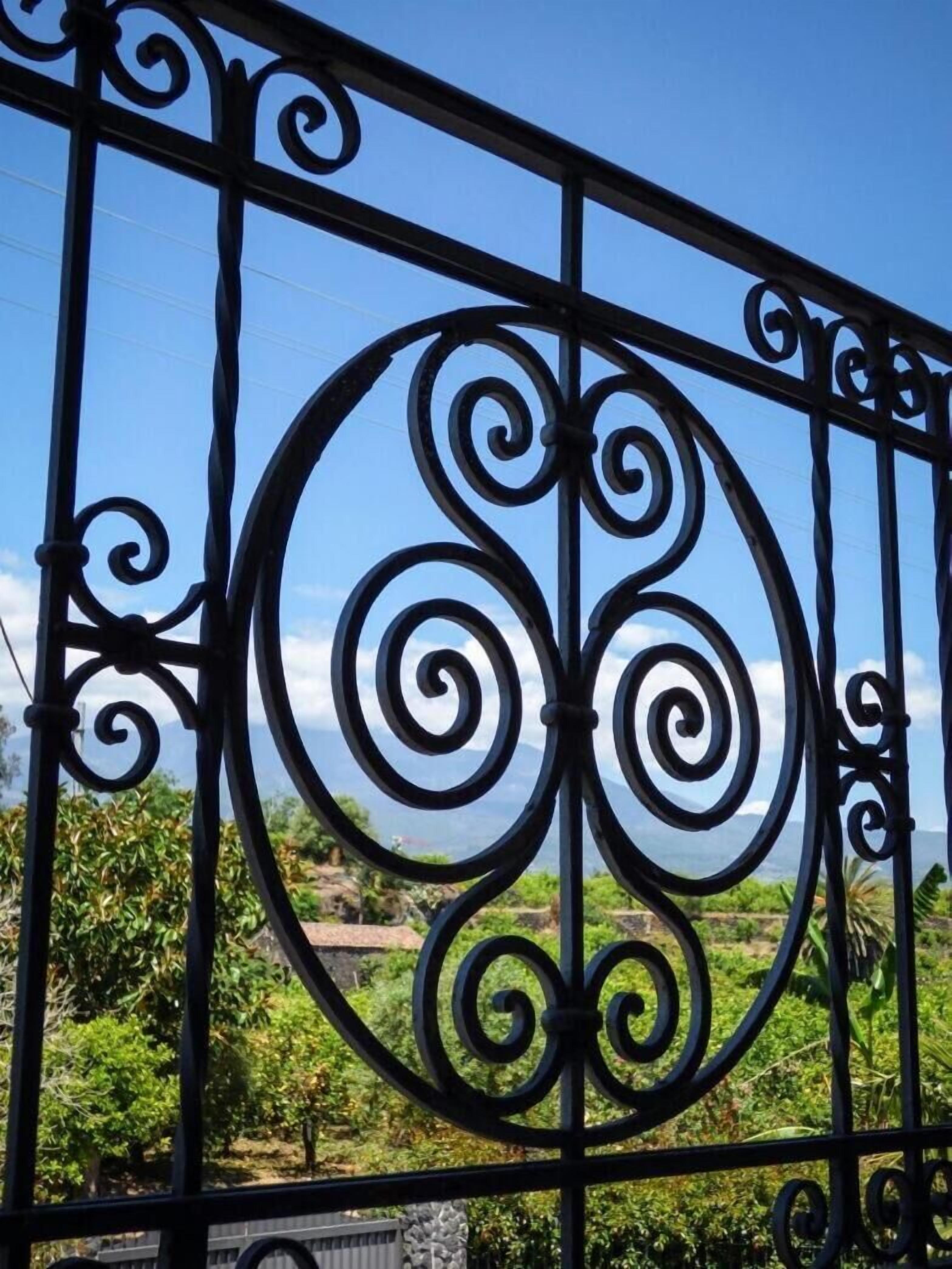 A wrought iron gate with intricate designs, set against a backdrop of greenery and a clear sky.