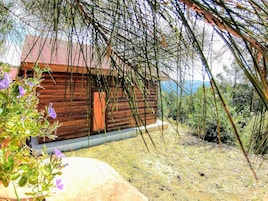 Casa panorámica en un árbol | Vistas a la montaña