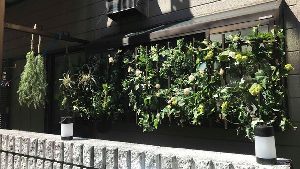 A building facade with a vertical garden, a window with a black awning, and a hanging plant. - Tokyo Urban Flat Hotel 101 (Tokyo)