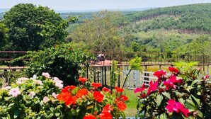A garden with various flowers and a view of a hilly landscape.