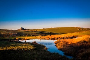 Unclassified image, 5 of 13, button