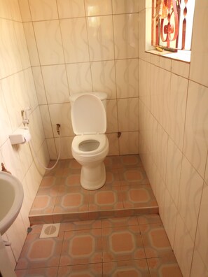 Toallas, shampoo, papel de baño