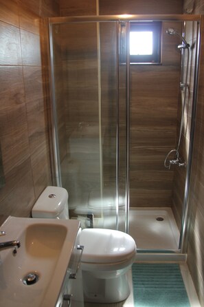 A bathroom with a glass-enclosed shower, a toilet, and a sink.