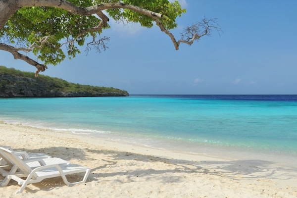 Beach shuttle, beach towels