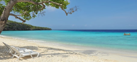 Beach shuttle, beach towels