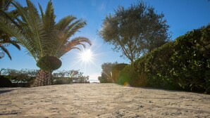 A paved pathway with palm trees and bushes on either side, leading towards the sun.