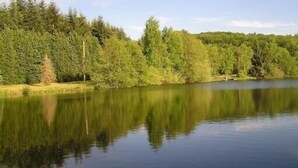 A calm lake surrounded by dense forest. - Comfortable waterside chalet with private pond fishing in the Morvan. (Moux-En-Morvan)
