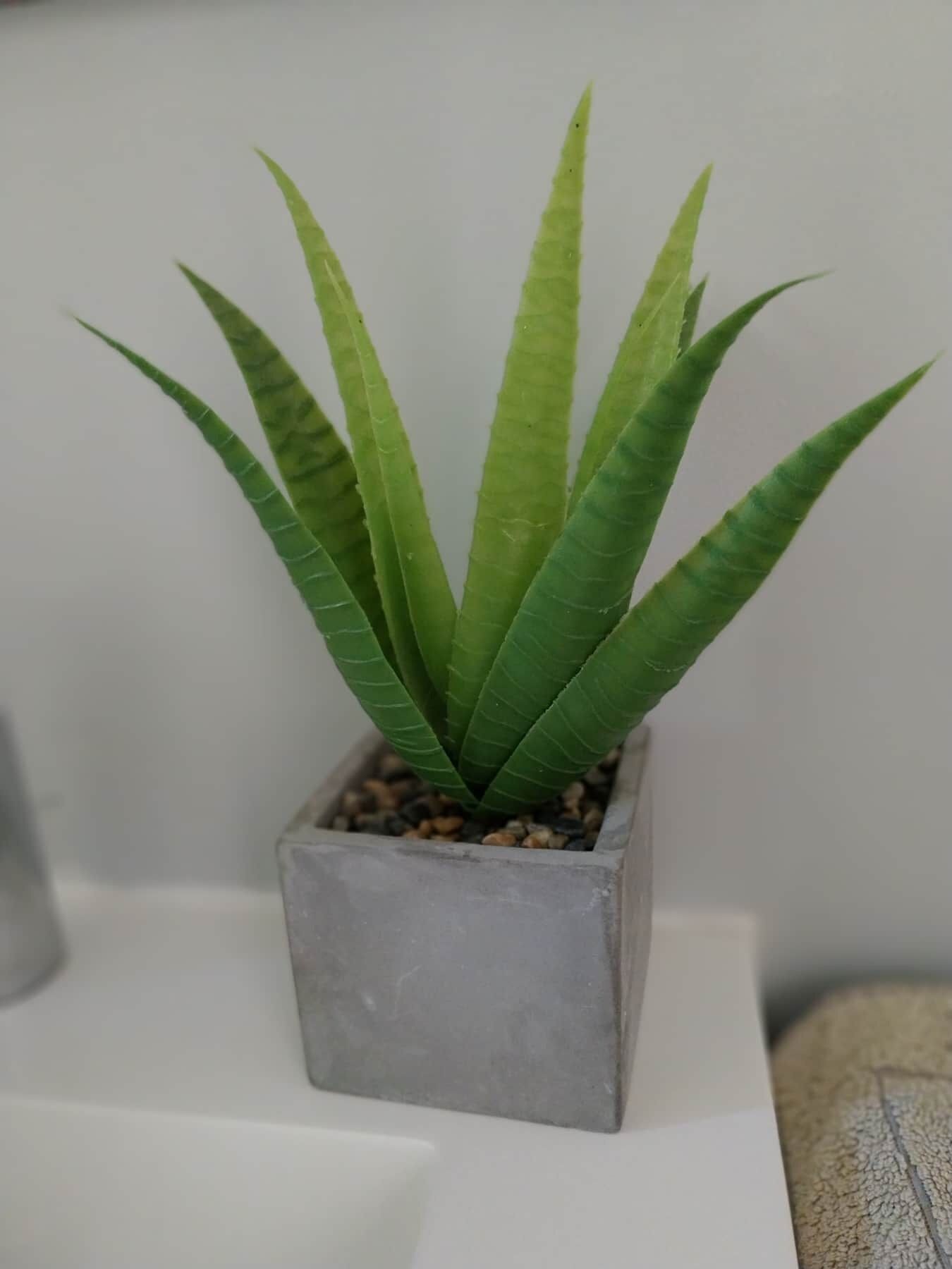 Détail de l’intérieur