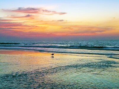 Sunset Rentals | Breakers 117